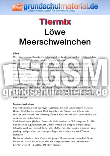 Löwe - Meerschweinchen.pdf